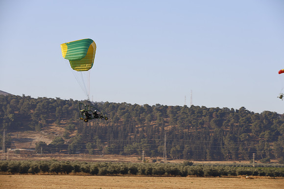 TFederOSGG26-0530