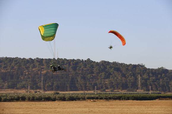 TFederOSGG26-0533