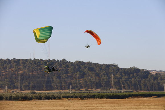 TFederOSGG26-0535