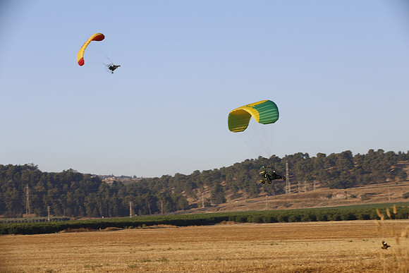 TFederOSGG26-0539