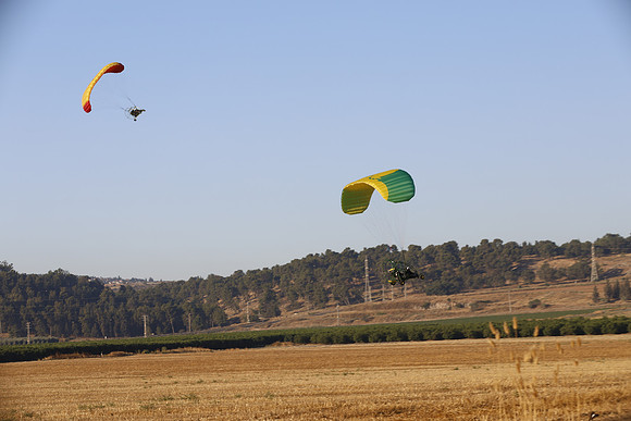 TFederOSGG26-0542