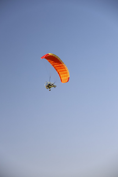TFederOSGG26-0545