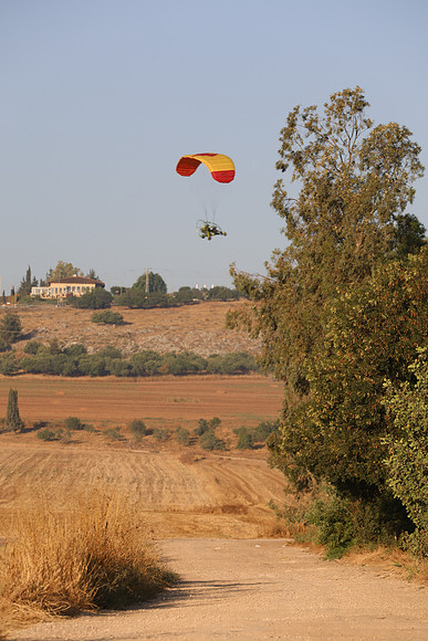 TFederOSGG26-0553