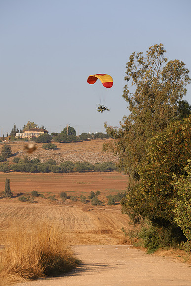 TFederOSGG26-0554