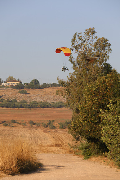 TFederOSGG26-0556