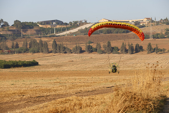 TFederOSGG26-0559