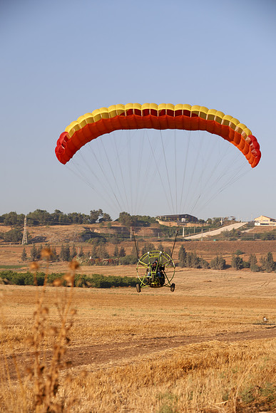 TFederOSGG26-0567