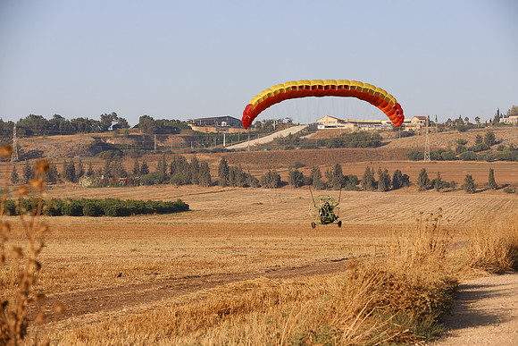 TFederOSGG26-0564