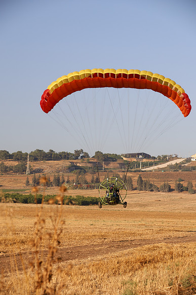 TFederOSGG26-0568