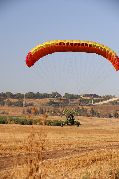 TFederOSGG26-0569