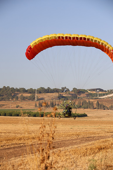 TFederOSGG26-0571