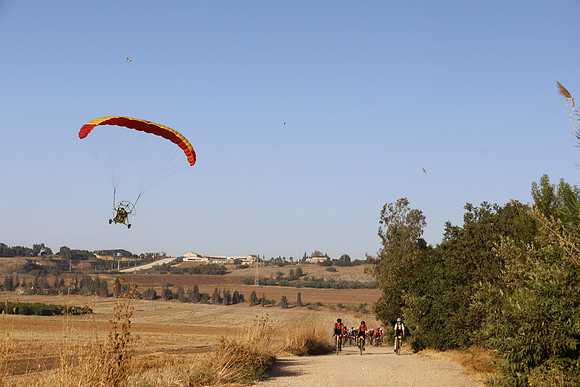 TFederOSGG26-0587