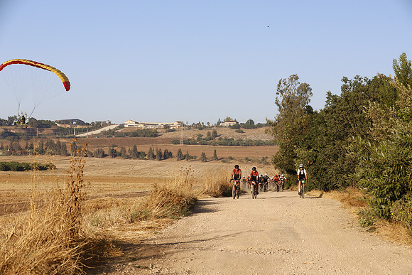 TFederOSGG26-0590