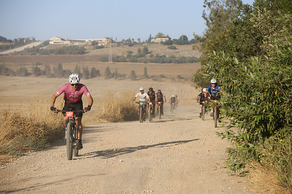 TFederOSGG26-0718