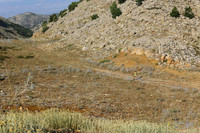 Marathon Israel - Hermon Run 2017