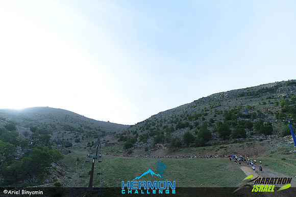 ab_mhc-240519-0064
