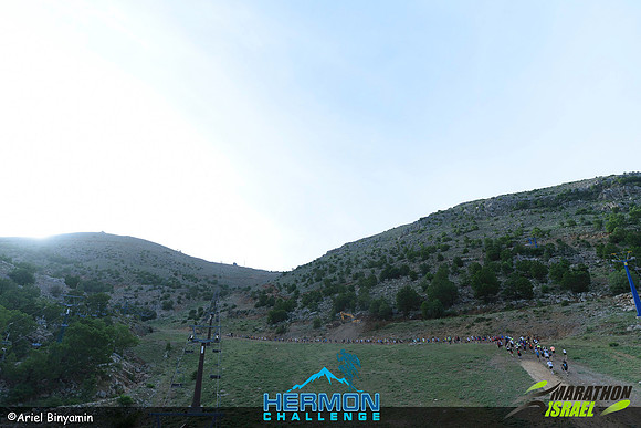 ab_mhc-240519-0063