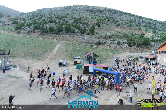 ab_mhc-240519-0049
