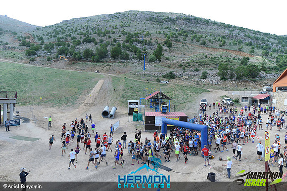 ab_mhc-240519-0051