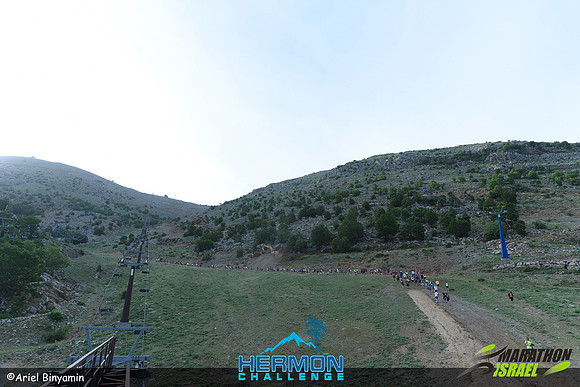 ab_mhc-240519-0062