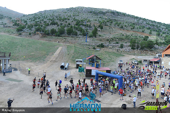 ab_mhc-240519-0044