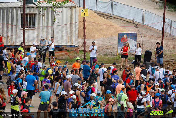 tf_mhc-240519-0141