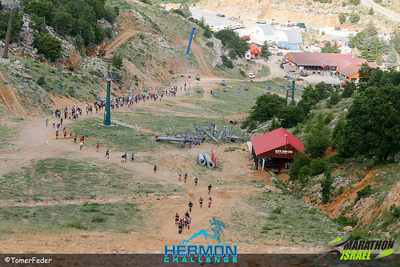 tf_mhc-240519-0156