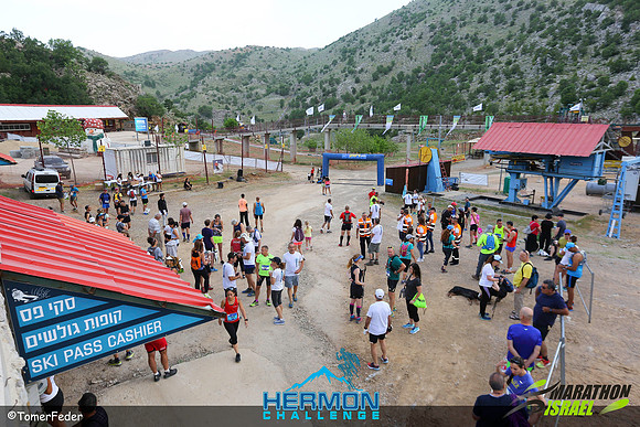 tf_mhc-240519-0069