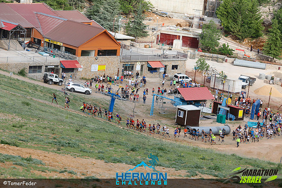 tf_mhc-240519-0145