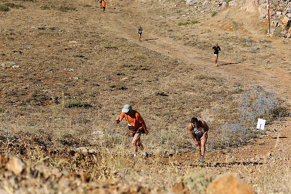 HermonRun - 2016