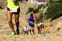 HermonRun - 2016