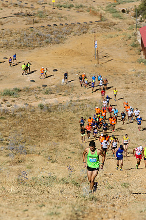 HermonRun - 2016