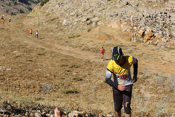 HermonRun - 2016