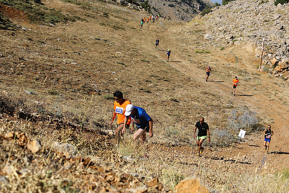 HermonRun - 2016