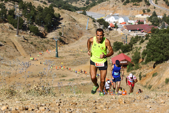 HermonRun - 2016
