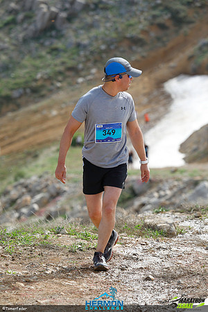 tf_mhc-240519-0840
