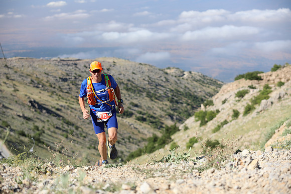 TF_hrc21-1817