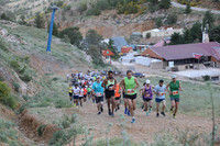 TF-hrc22-0213