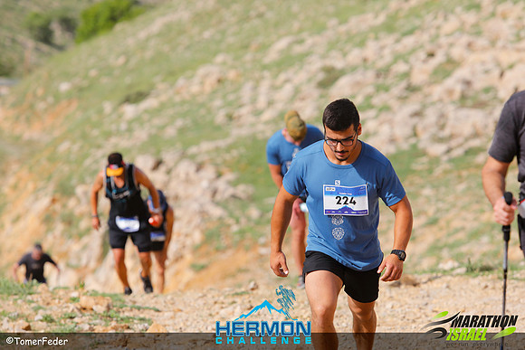 tf_mhc-240519-1448