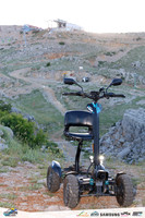 TFeder-mhc26-0193