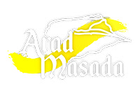 logo ערד מצדה
