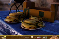 DHalevii-amts-260626-0156