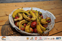 YS_ams22_0353