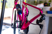 Teuza-DAMC26-0009