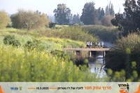 תמונות מסלול 10 ו5 ק"מ