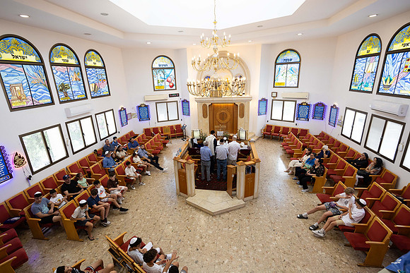 TF_Omri_Shahar-bm-160724-0135
