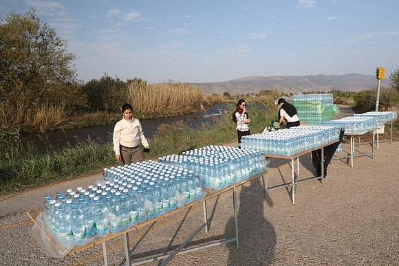 rt_agr19_0273