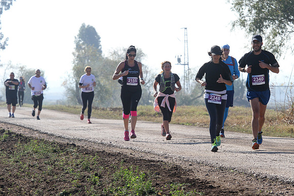 Agur Run 2016