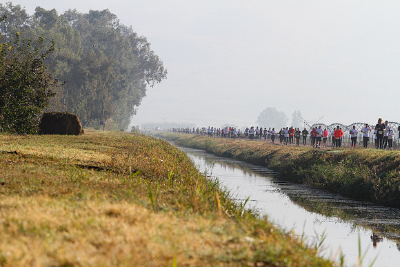 Agur Run 2016