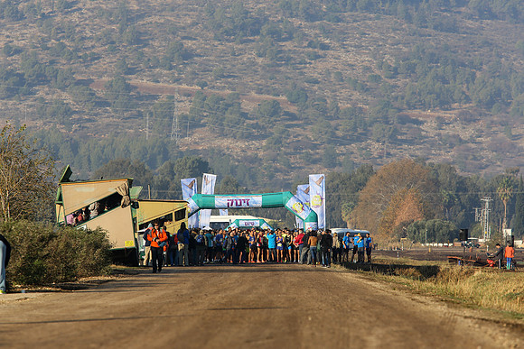 Agur Run 2016